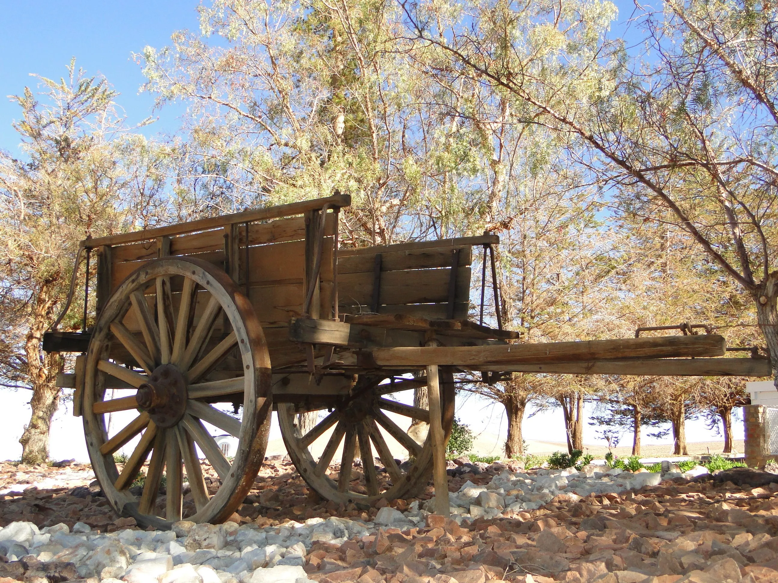 Una Historia que se Escribió a Lomo de Burro y Carretas ...