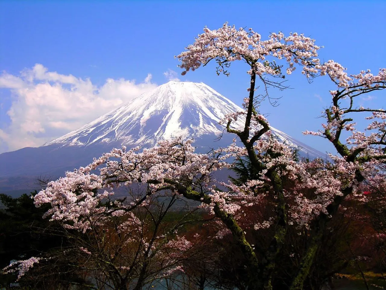 Historia de Japón ~ japonpasion