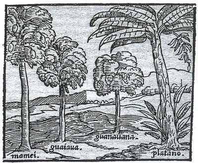 Historia (Santiago) - EUROPA Y SU PERCEPCIÓN DEL NUEVO MUNDO A ...