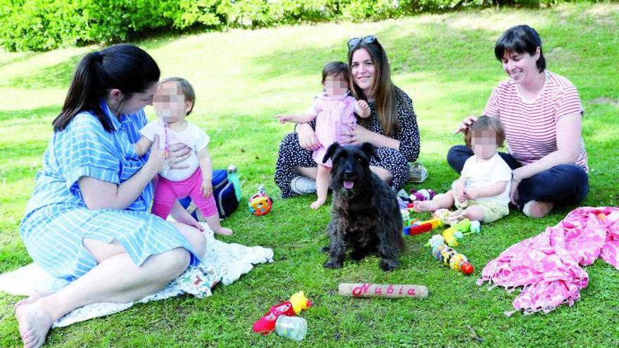 Más hogares con mascotas que con bebés