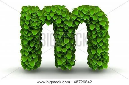 Hojas font letra m minúscula Fotos stock e Imágenes stock | Bigstock