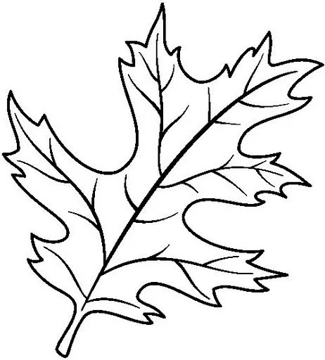 HOJAS DE OTOÑO DIBUJOS PARA COLOREAR | Dibujos para colorear