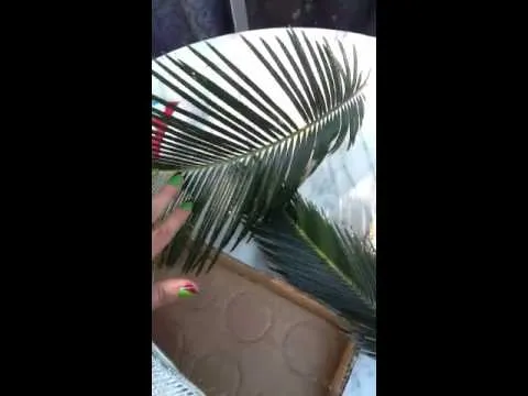 Hojas d palmas para decorar :) - YouTube