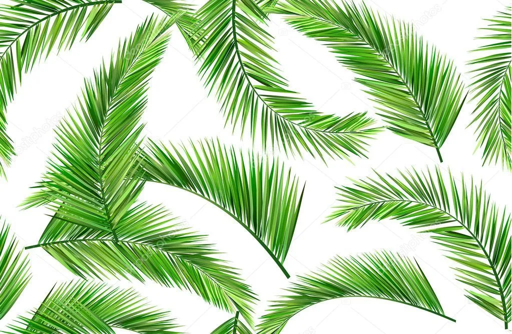 hojas de palmera — Vector stock © baoyan #