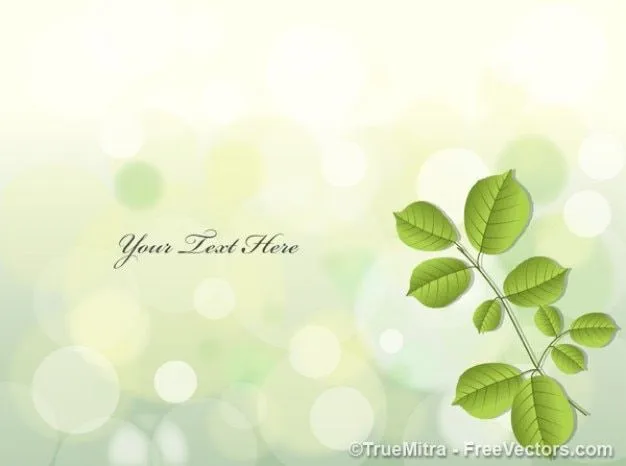 Hojas verdes sobre fondo claro | Descargar Vectores gratis