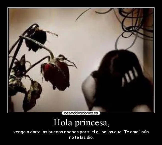 Hola princesa, | Desmotivaciones