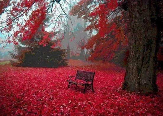 Cuando un hombre planta un árbol…” | Córdoba Aprendizaje ...