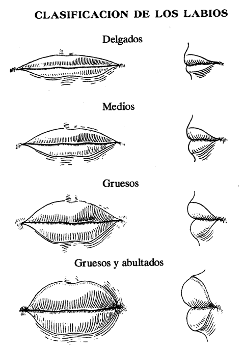 Formas de labios de mujer y su significado - Imagui