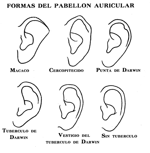 Hacia el hombre | Plusformación