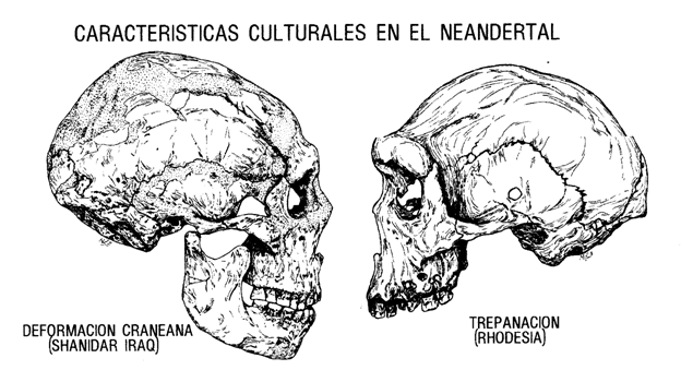 Hacia el hombre | Plusformación