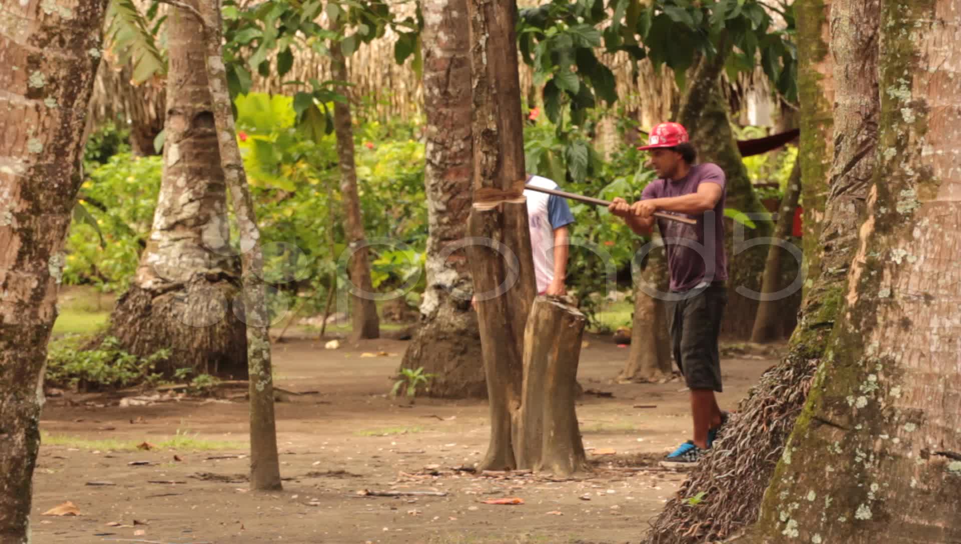 Hombre Talando Árboles Con El Hacha Archivos de Video #8992995 | Pond5