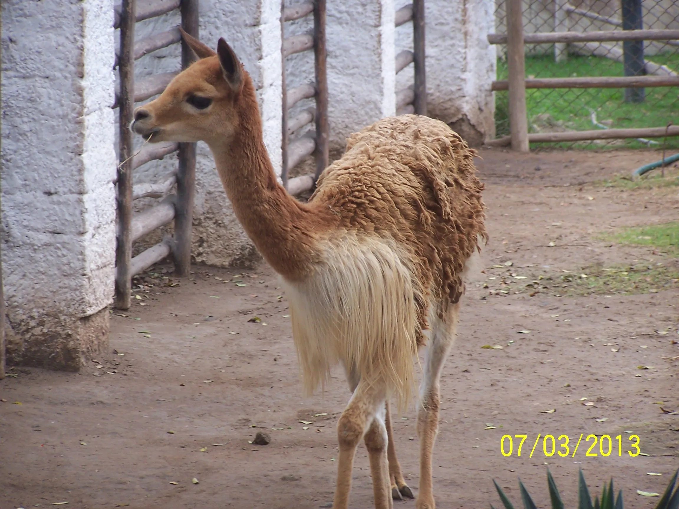 Homeschoolers Meeting At The Zoo! | Una Vida Simple