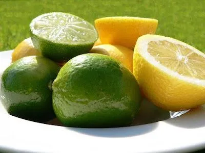 Hormigas en la cocina