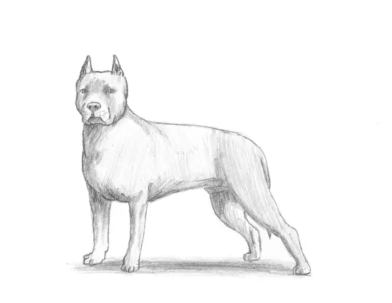 How to Draw a Dog (Pit Bull)