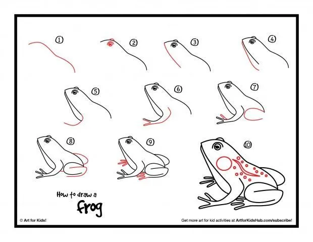 How To Draw A Frog (More Realistic)