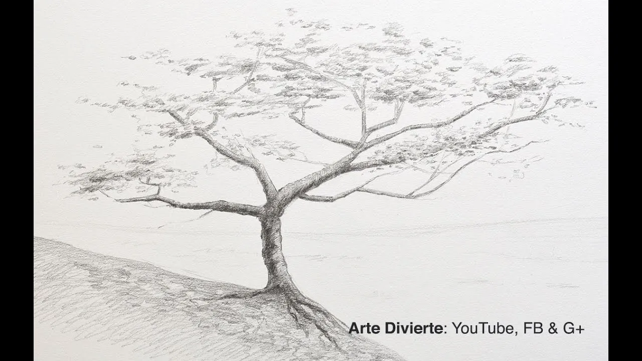 How to draw a tree in pencil - YouTube