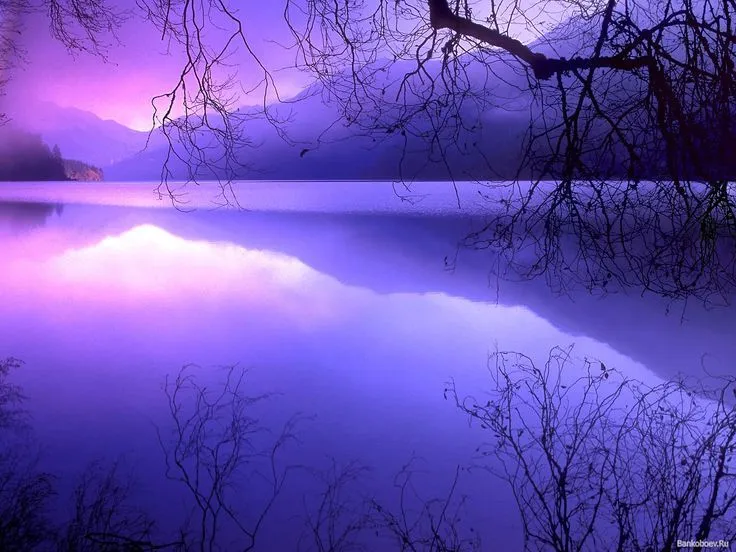 HQ Paisaje de color morado en el lago | INVIERNO | Pinterest