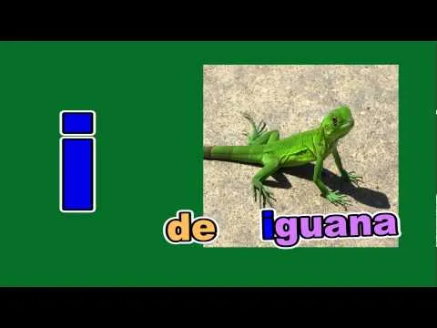 Animales que empiezen con i - Imagui