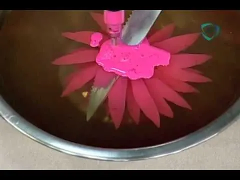 Cómo preparar Gelatinas Artísticas | CadenaTres