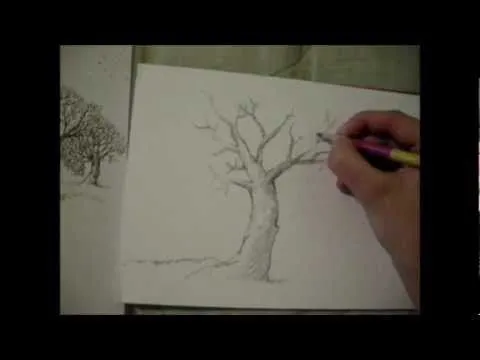 Arboles secos faciles de dibujar - Imagui