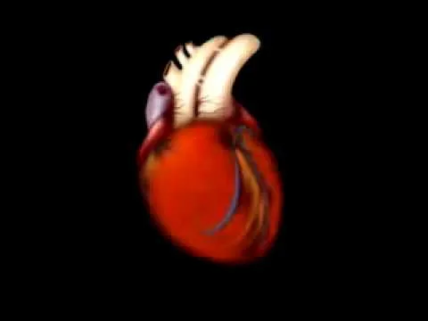 Latido Corazon - YouTube