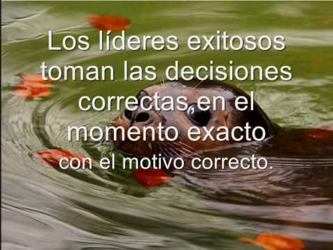 Reflexiones que Fortalecen el Liderazgo - YouTube