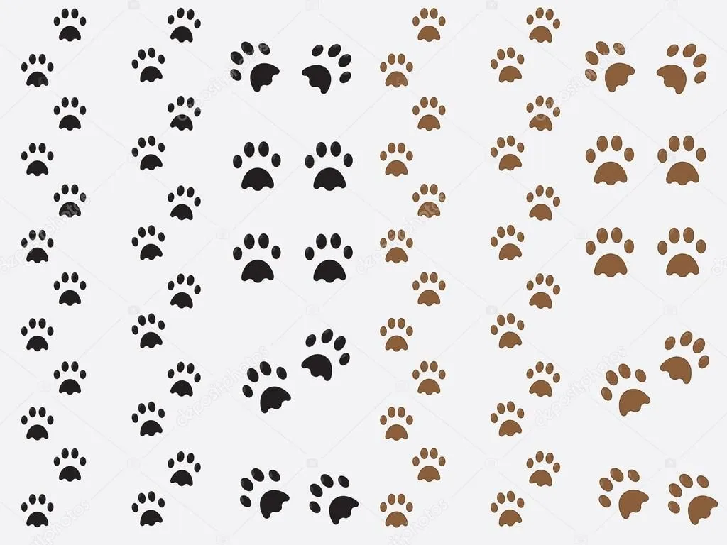 huellas de perro — Vector stock © alexghidan89 #36331917