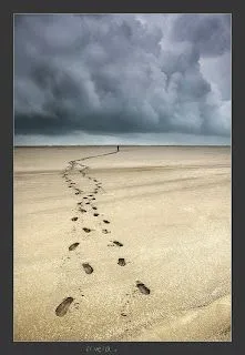 Las huellas de cuatro pies se dibujaban en la arena de la playa; si ...