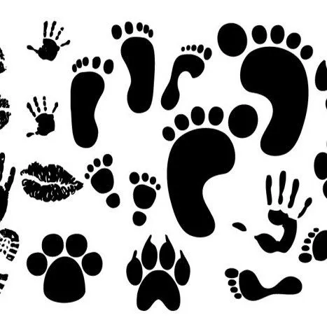Huellas de pies, manos y kiss, free vectors - 365PSD.com