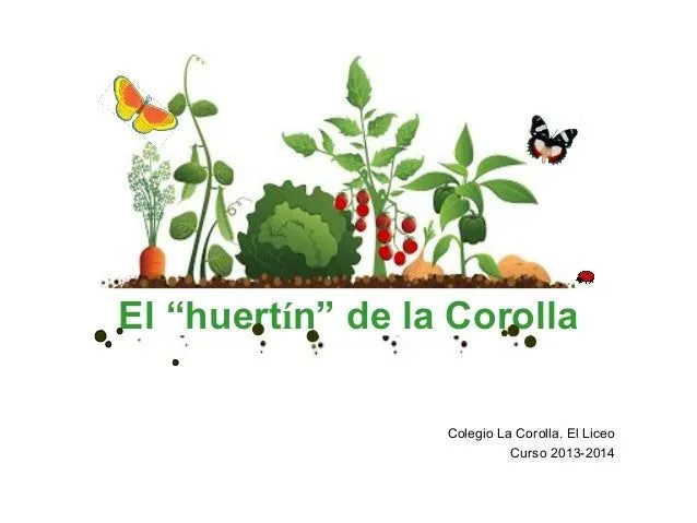 El huertín de La Corolla. En el Jardín Animado siguen pasando cosas.