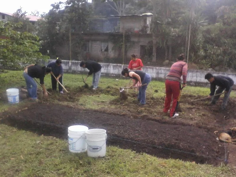 CON HUERTOS, BUSCAN SUSTENTABILIDAD DE ESCUELAS Y HOGARES ~ Libre ...