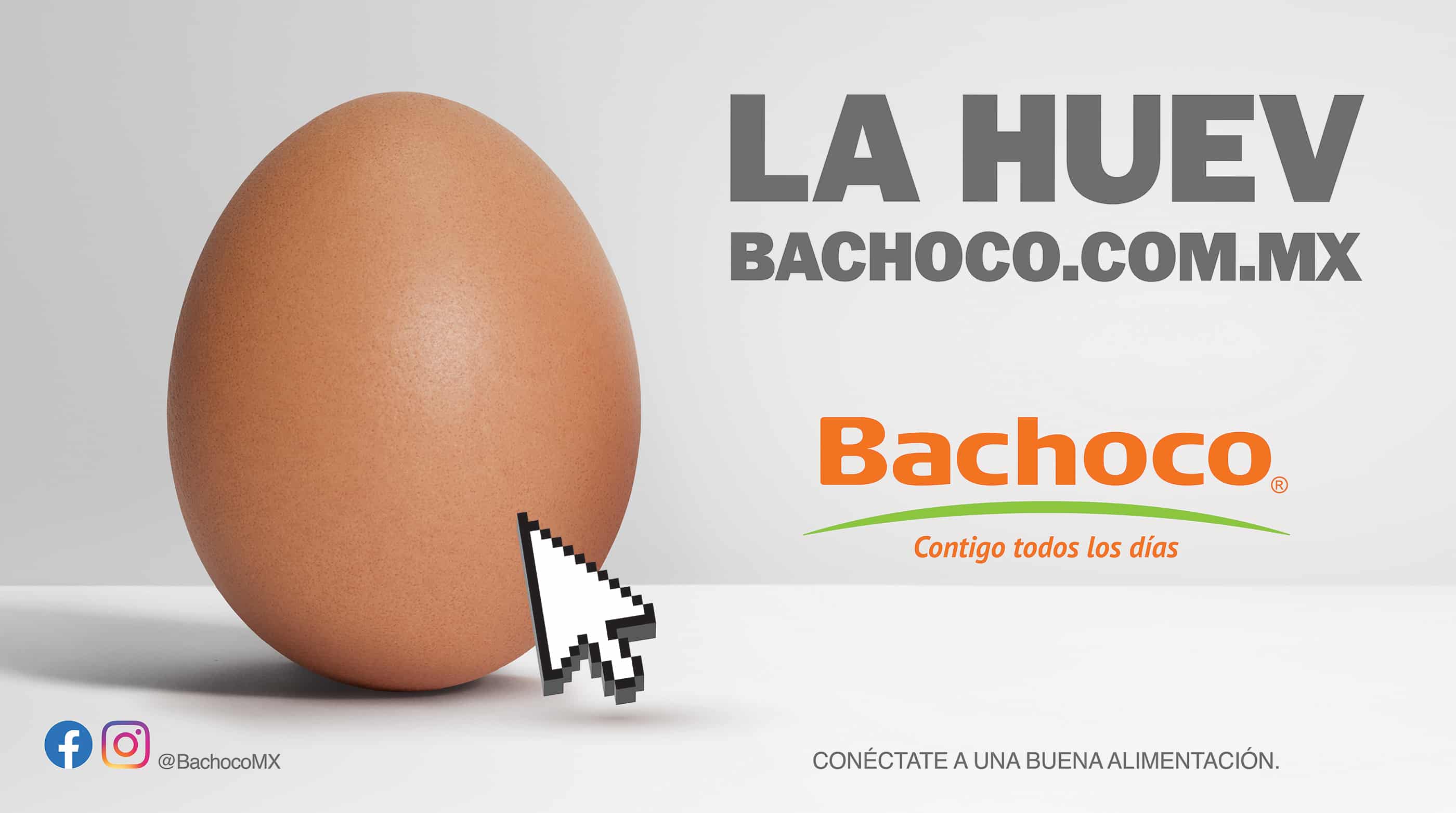 La huev — Bachoco® Contigo todos los días