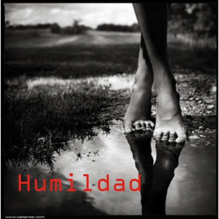 Humildad, la base del éxito !!