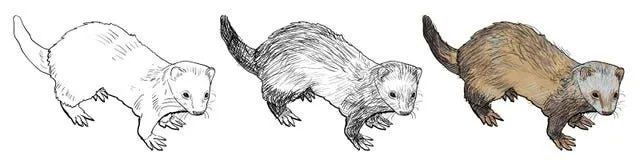 Huron Ilustraciones Stock – 233 Huron Ilustraciones Stock ...