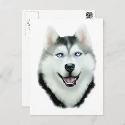 Husky siberiano de Zazzle.es 