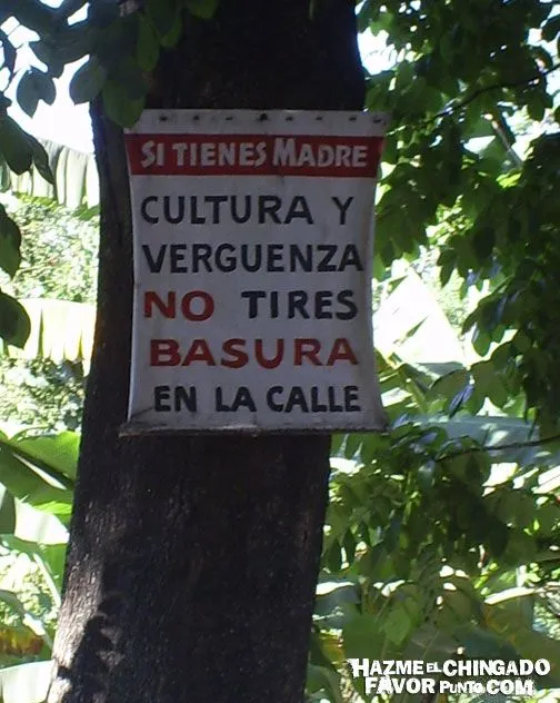 ѕσ¢яαтεяíαѕ: La idea es esa o ¿cómo te lo digo?