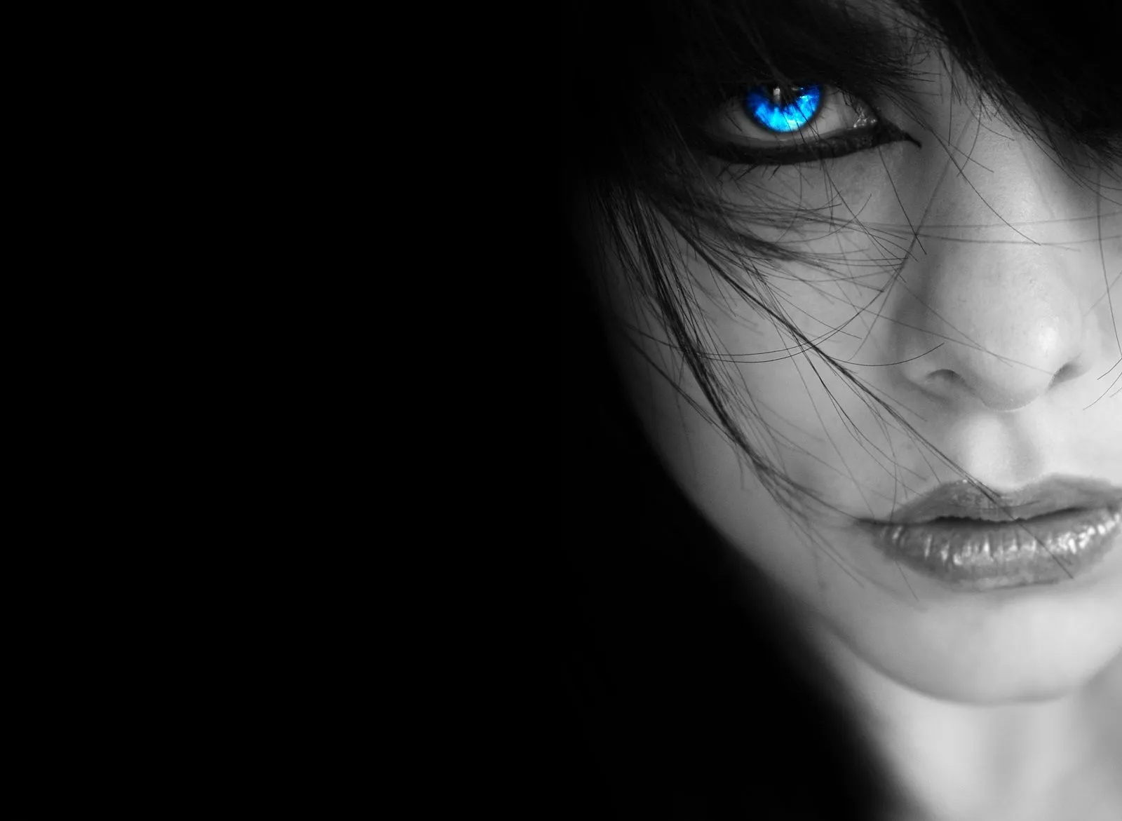 Ice Blue Eyes High Definition Wallpapers Wallpapers Box