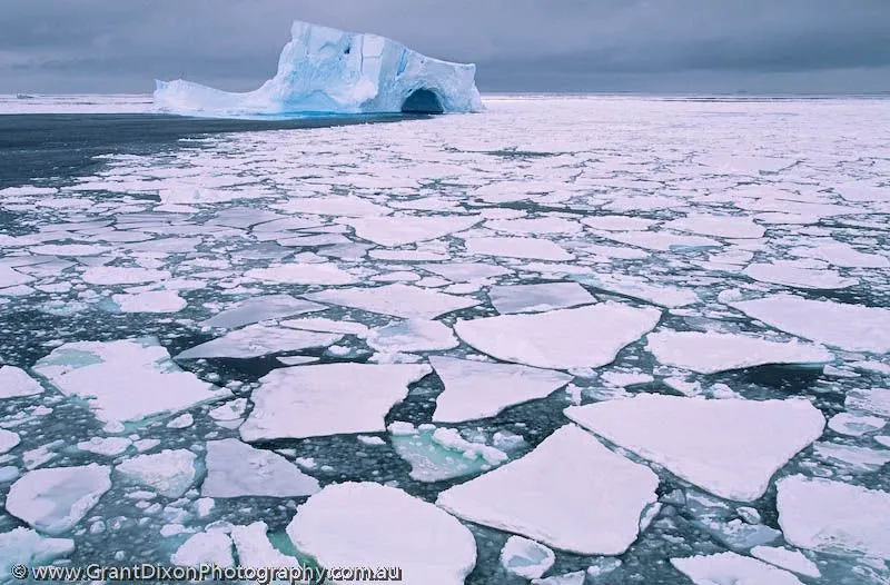 Iceberg and ice floes 1 - image by Australian photographer Grant Dixon