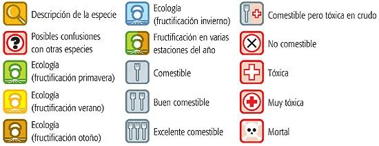 iconos_descripciones.jpg