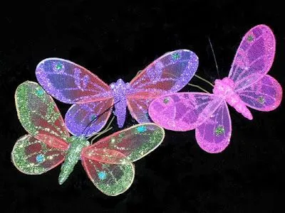 Identidad sanjuanera: Mes de noviembre es para las mariposas