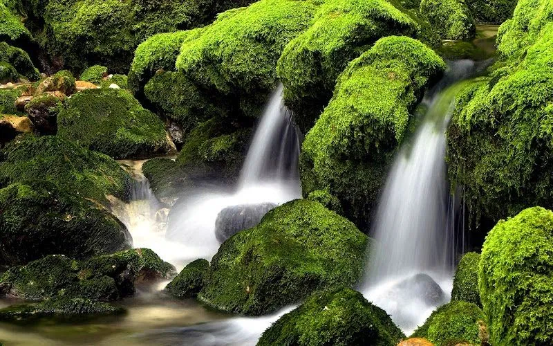 Idool 22 fotografías de las cascadas más hermosas del mundo