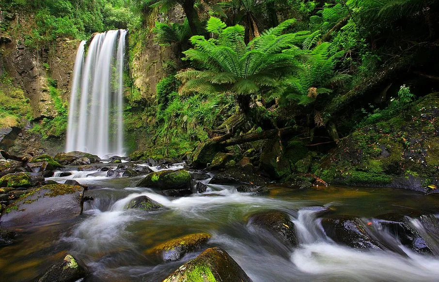 Cascadas del Paraíso - Paradise Waterfalls - Australia - Wallpaper ...