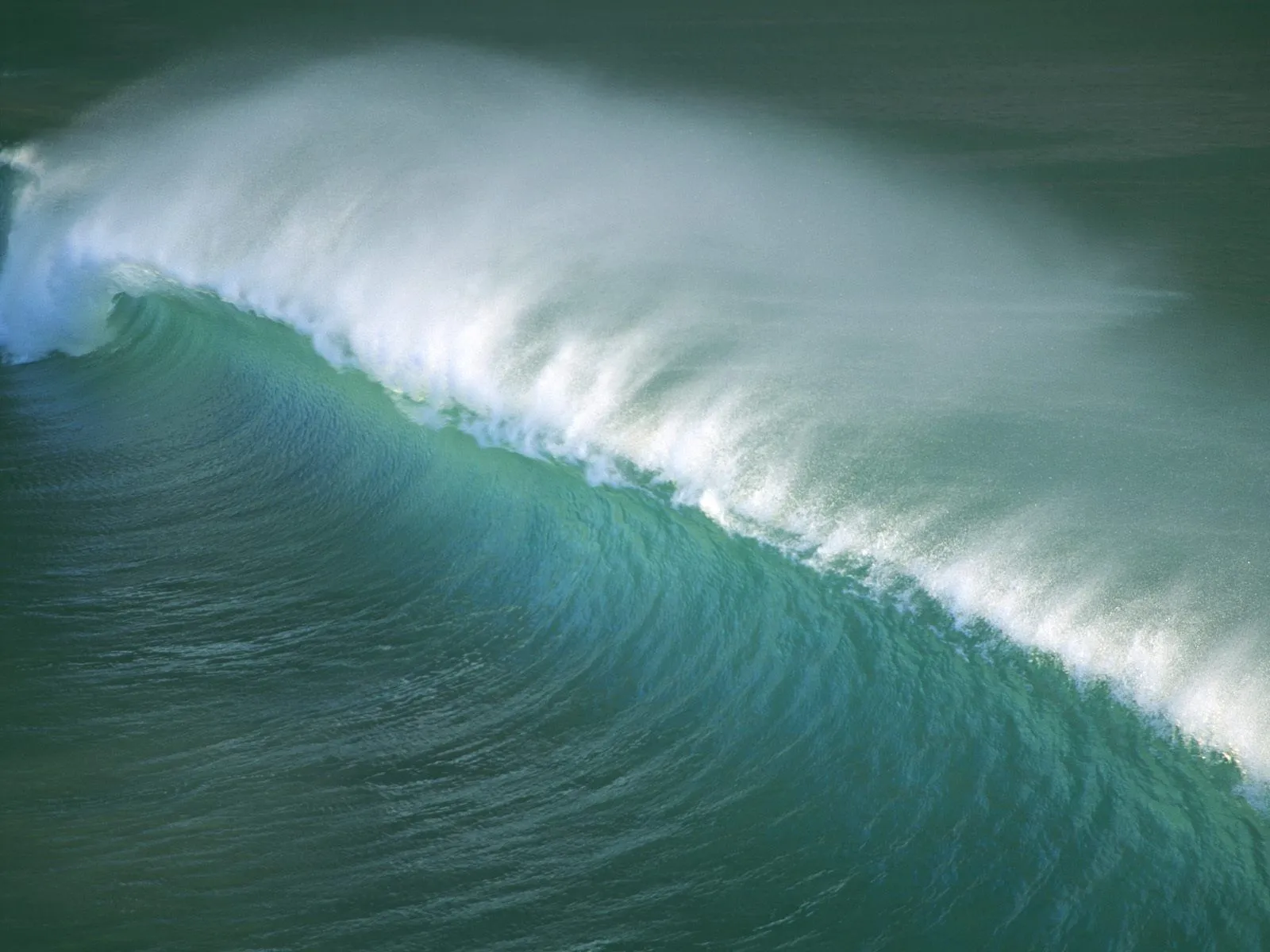 idool Las olas del mar I (20 fotografías muy frescas)