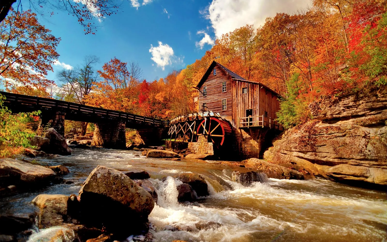 Idool Otoño en el bosque junto al río - Forest Autumn