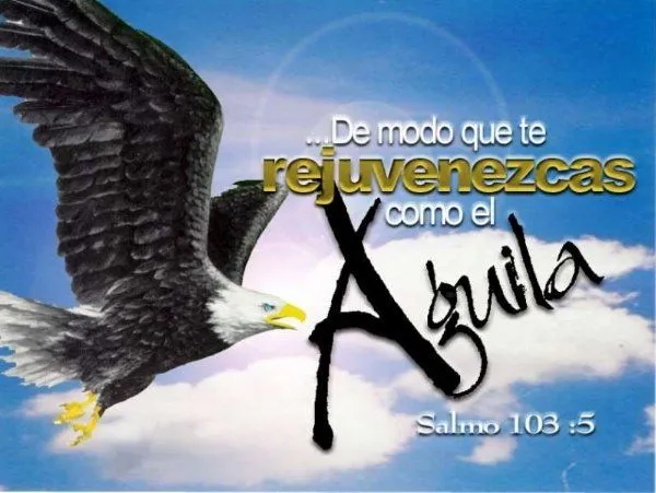 IGLESIA APOSTÓLICA DE JESUCRISTO EN VENEZUELA: Reflexiones