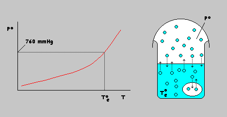 Ignacio Videla Hidalgo: Química Unidad VIII