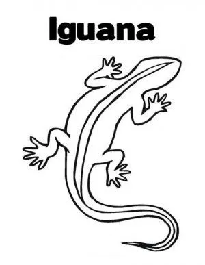 Iguana para colorear