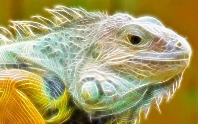 Iguana - reptiles - animales - arte digital - fotomanipulación ...