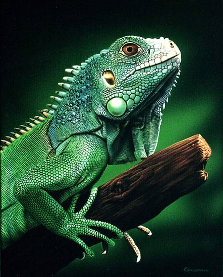 Iguana Sergio Gaspar - Artelista.com
