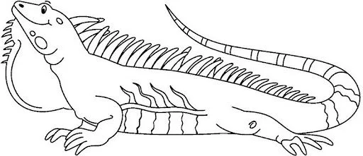 IGUANAS DIBUJOS PARA COLOREAR | Dibujos para colorear